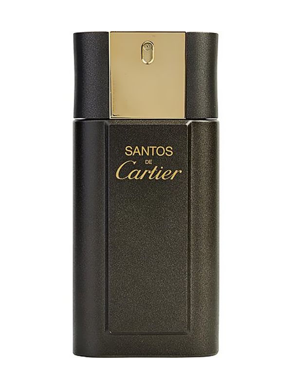 Cartier Santos De Cartier Concentre EDT 100 Ml