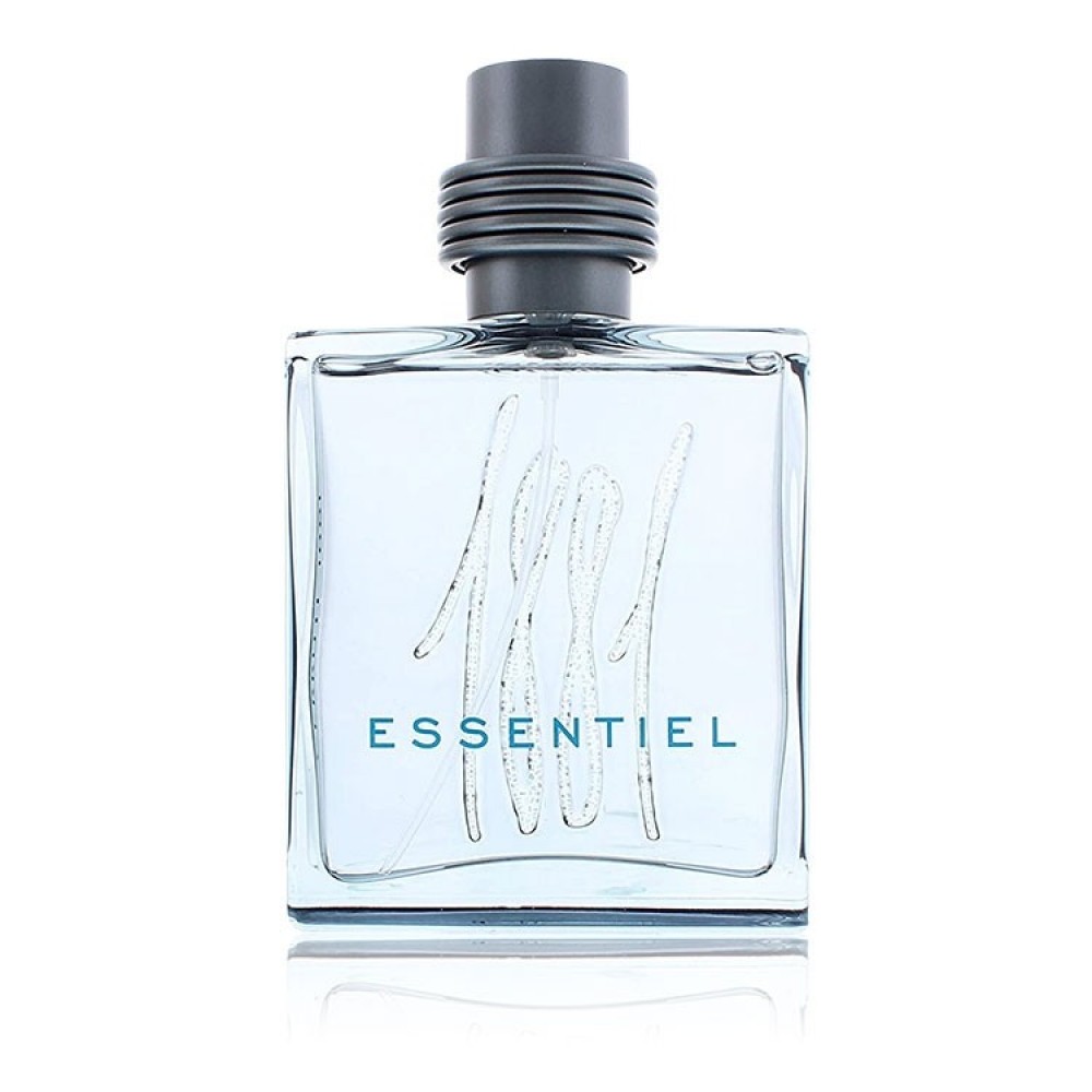 Buy Cerruti 1881 Essentiel EDT 100 Ml