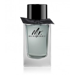 Buy Burberry Mr. Burberry Edt 100 Ml