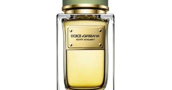 Dolce and gabbana store velvet bergamot price