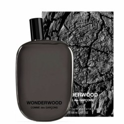 Comme Des Garcons Wonderwood Edp 100 Ml Comme Des Garcons Wonderwood Edp 100 Ml