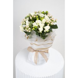 باقة النقاء